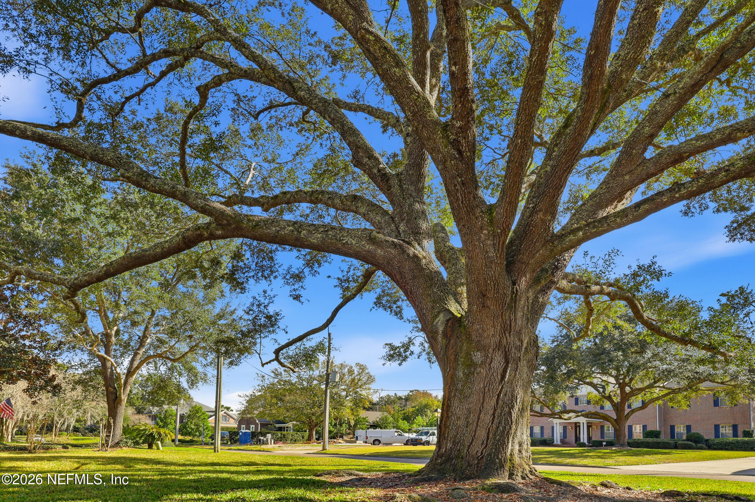 959 Maple Lane Jacksonville, FL 32207 - Photo 12 of 132 MATURE OAK