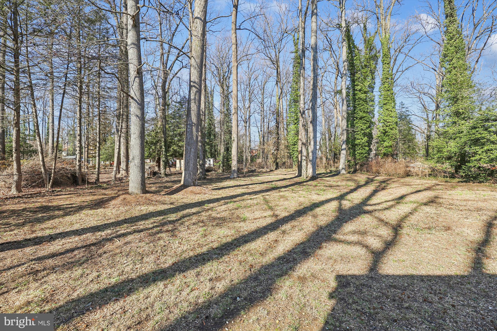 9010 Spring Avenue Lanham, MD 20706 - Photo 35 of 36 Large backyard
