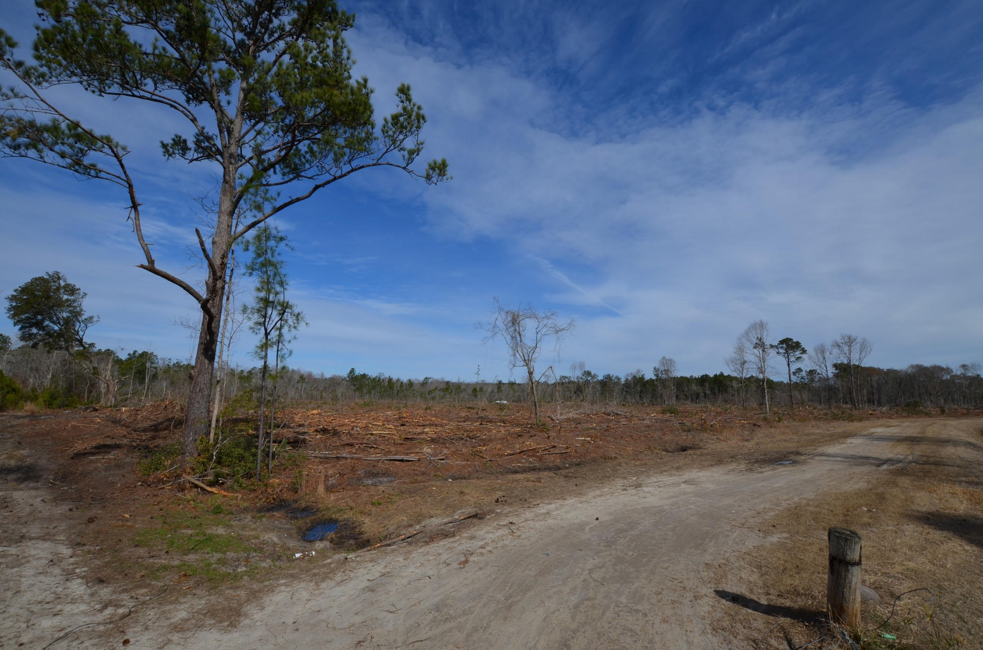 0 Weston Road McClellanville, SC 29458 - Photo 2 of 5 West of drainage ditch