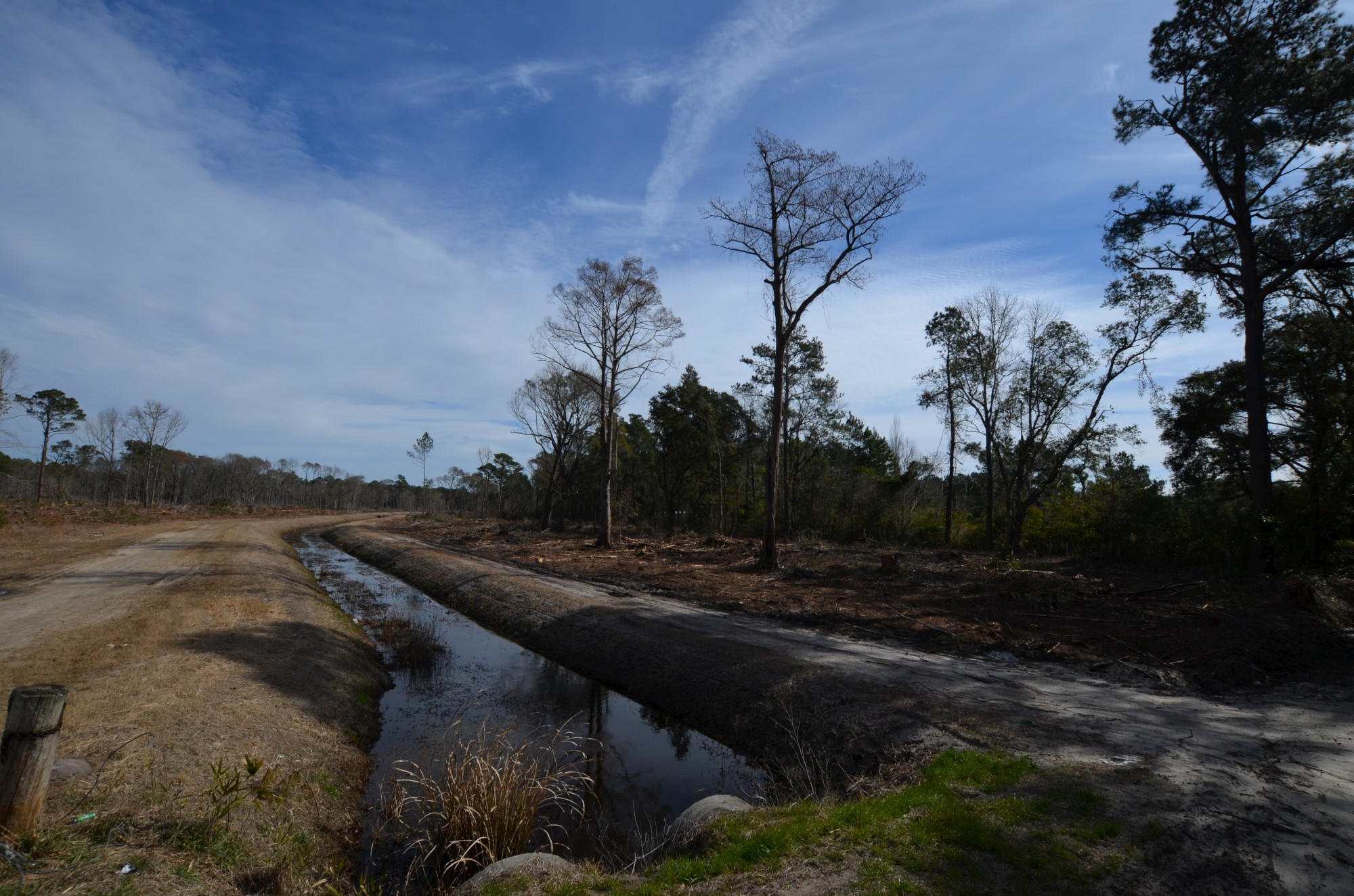 0 Weston Road McClellanville, SC 29458 - Photo 4 of 5 East of drainage ditch
