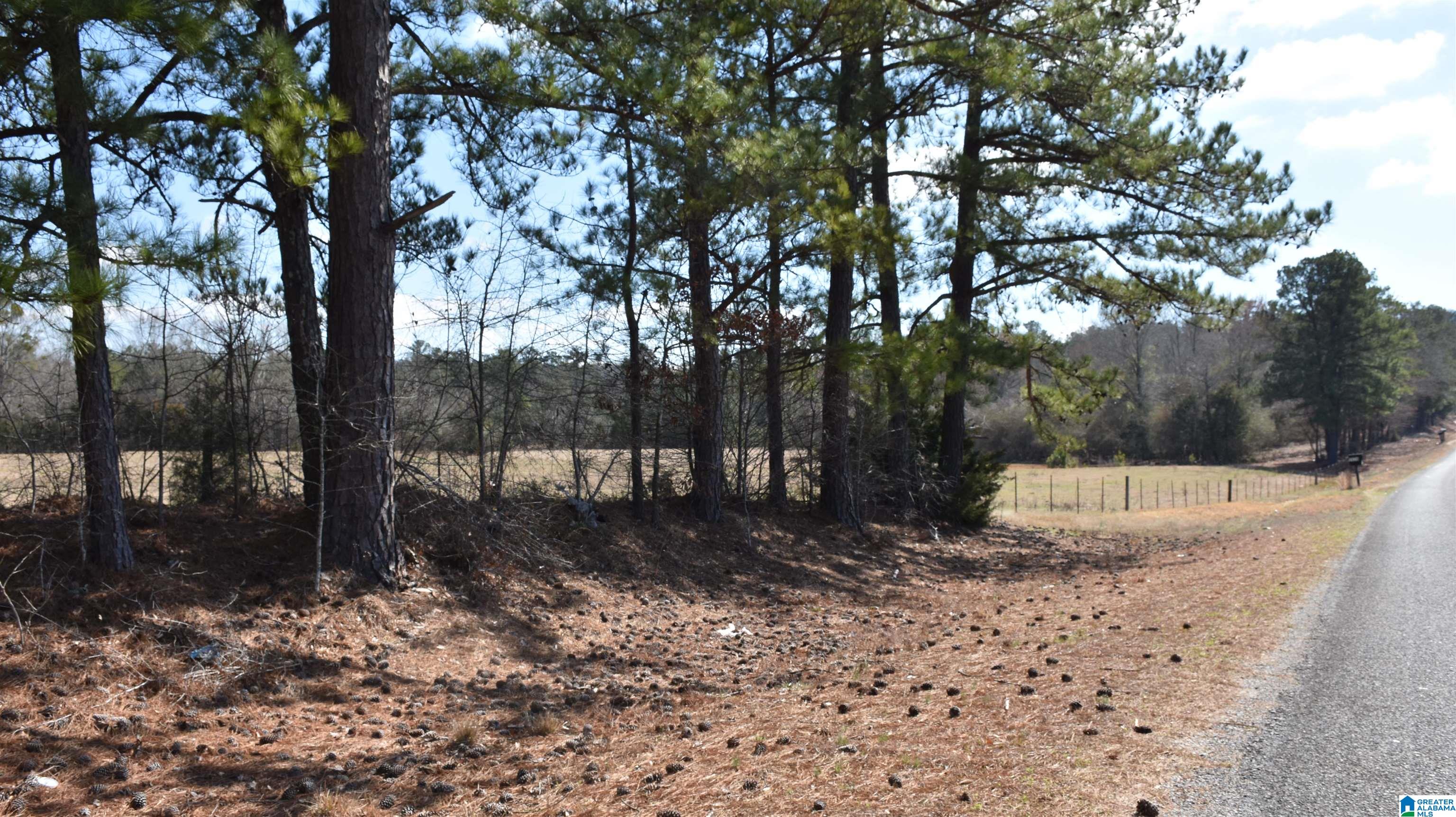 2003 New Maryland Road Alpine, AL 35014 - Photo 38 of 38