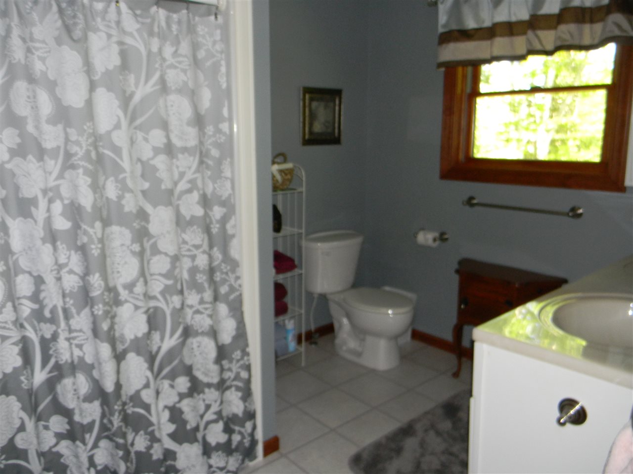 2659 East Heath Road Lupton, MI 48635 - Photo 9 of 57 1813206-8.JPG