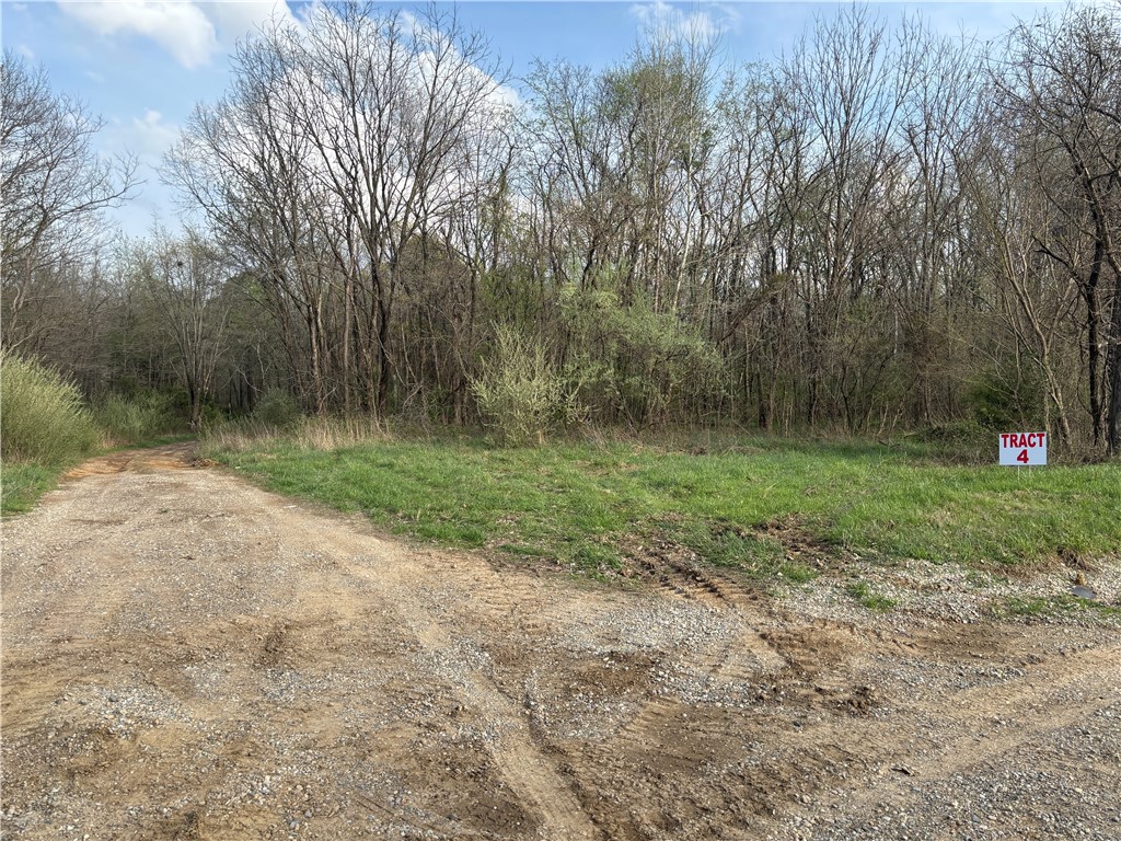 Applegate Road Bridgeport, IL 62417 - Photo 9 of 17