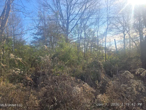 $17,500 | 157 East Gertrude Avenue, Drew, MS 38737