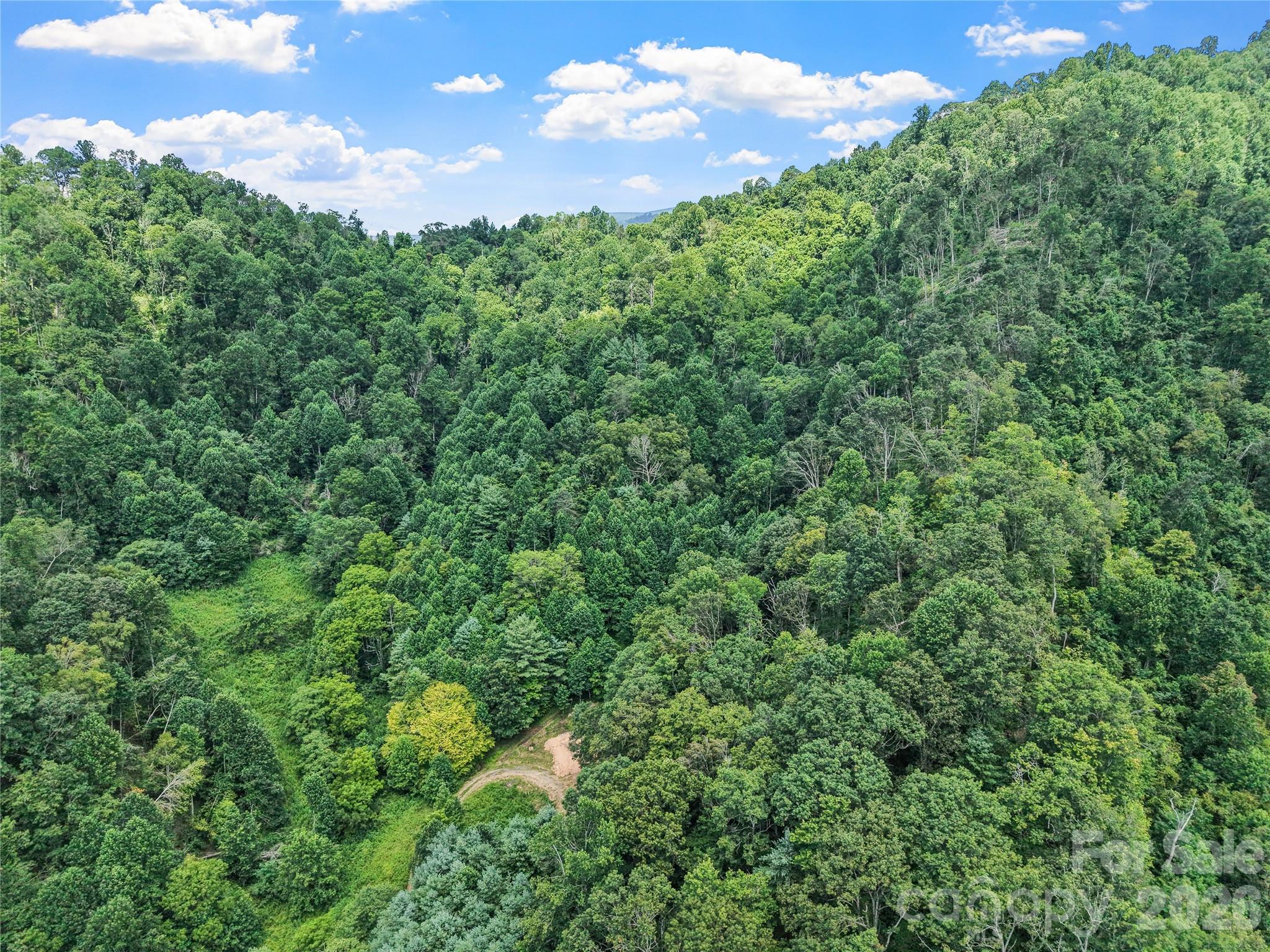 000 Bee Branch Road, Unit 14AC Bakersville, NC 28705 - Photo 8 of 19