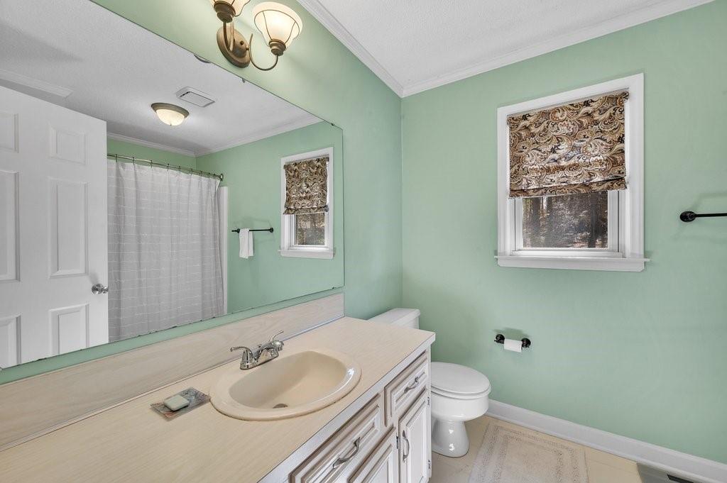 4655 Lake Shore Road North Denver, NC 28037 - Photo 21 of 31 a bathroom with a sink a toilet and a mirror