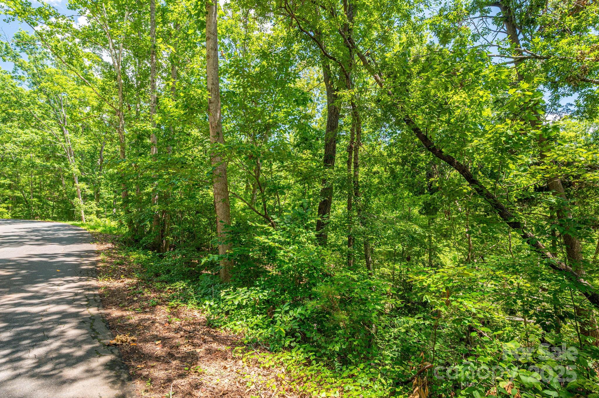 Lot 132 Plantation Drive Rutherfordton, NC 28139 - Photo 11 of 17 a view of a lush green forest