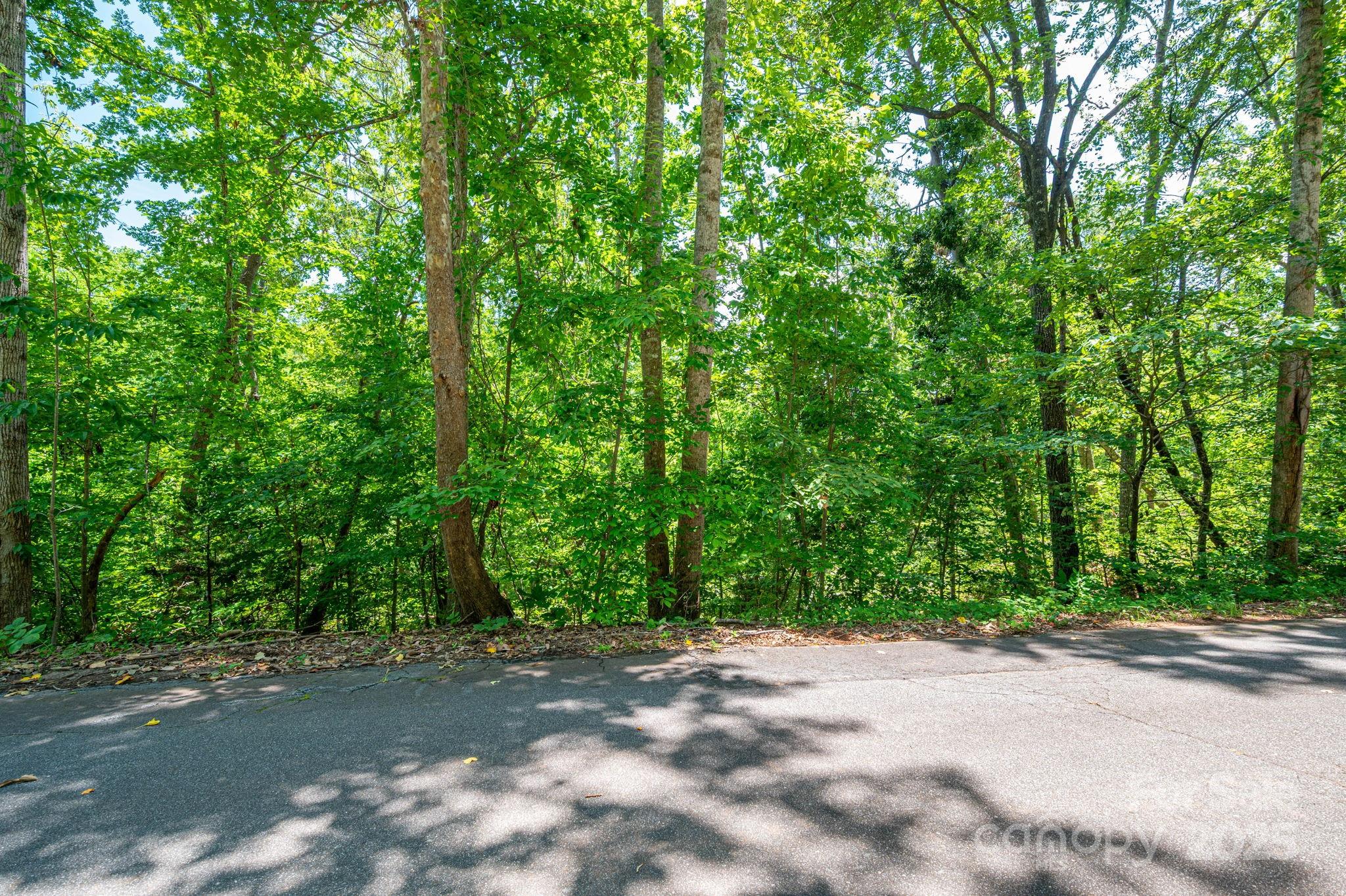 Lot 132 Plantation Drive Rutherfordton, NC 28139 - Photo 12 of 17 a view of a yard with plants and trees