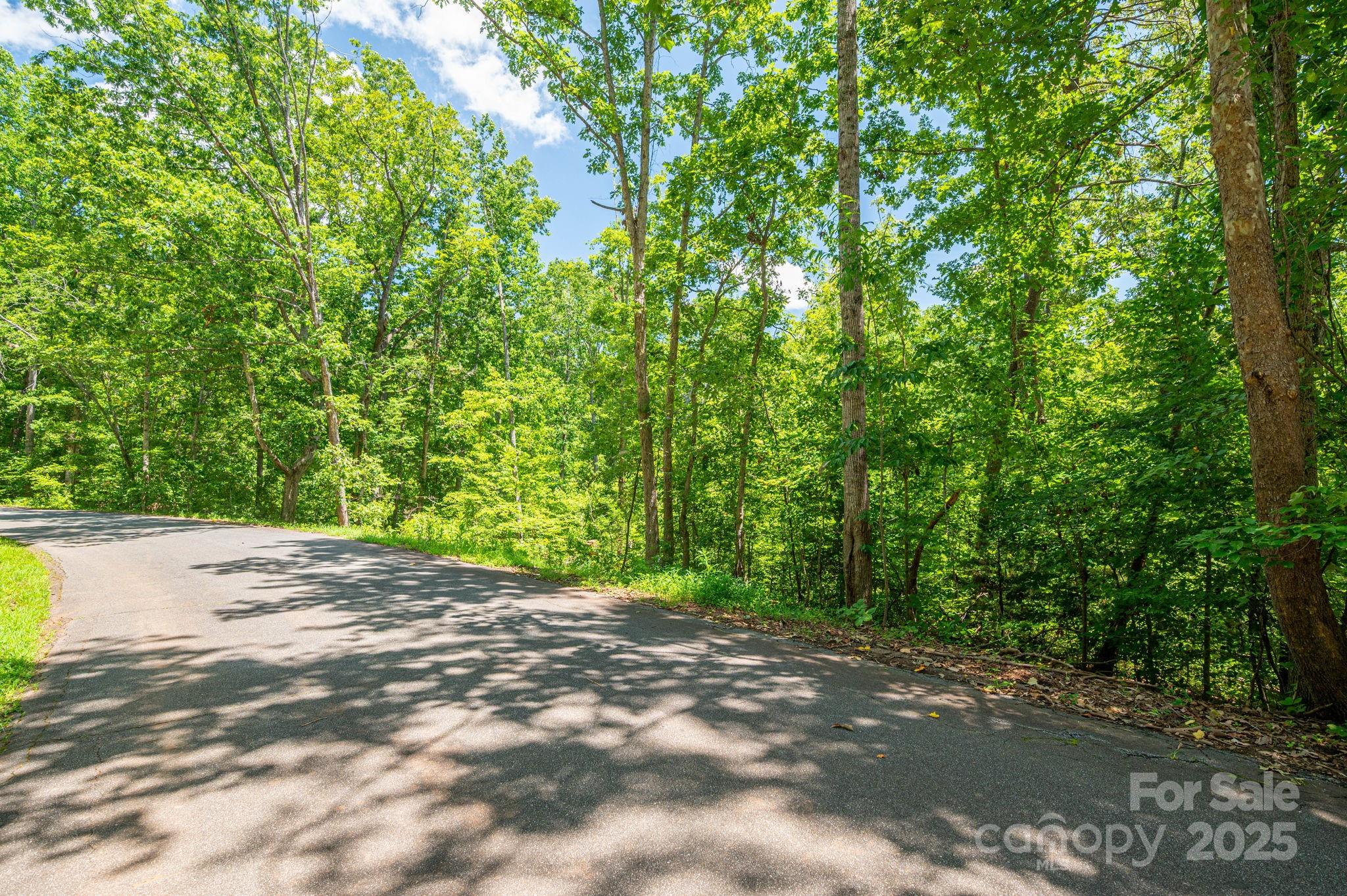 Lot 132 Plantation Drive Rutherfordton, NC 28139 - Photo 13 of 17 a view of a yard with plants and large trees