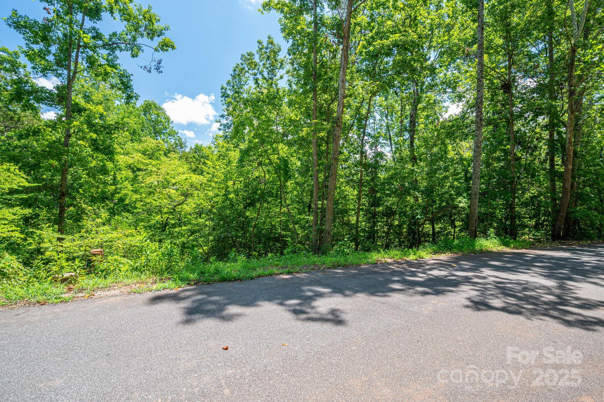 Lot 132 Plantation Drive Rutherfordton, NC 28139 - Photo 14 of 17 a view of a yard with plants and trees