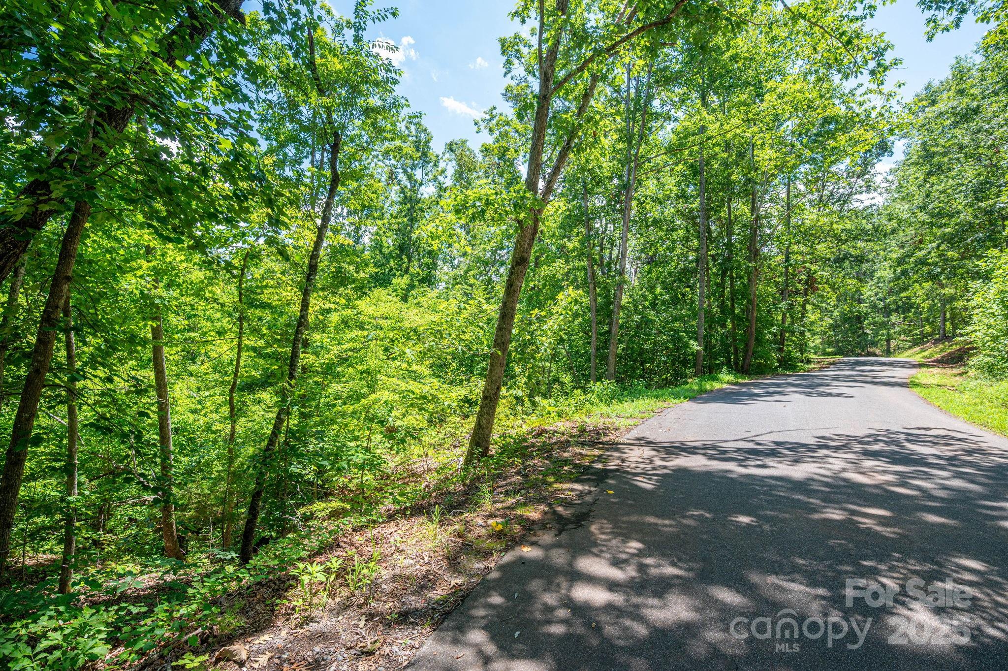 Lot 132 Plantation Drive Rutherfordton, NC 28139 - Photo 17 of 17 a view of a road with a yard
