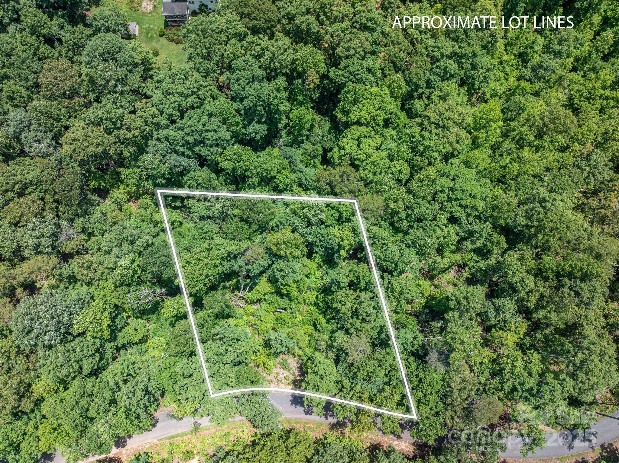 Lot 132 Plantation Drive Rutherfordton, NC 28139 - Photo 2 of 17 a view of a forest with a street sign