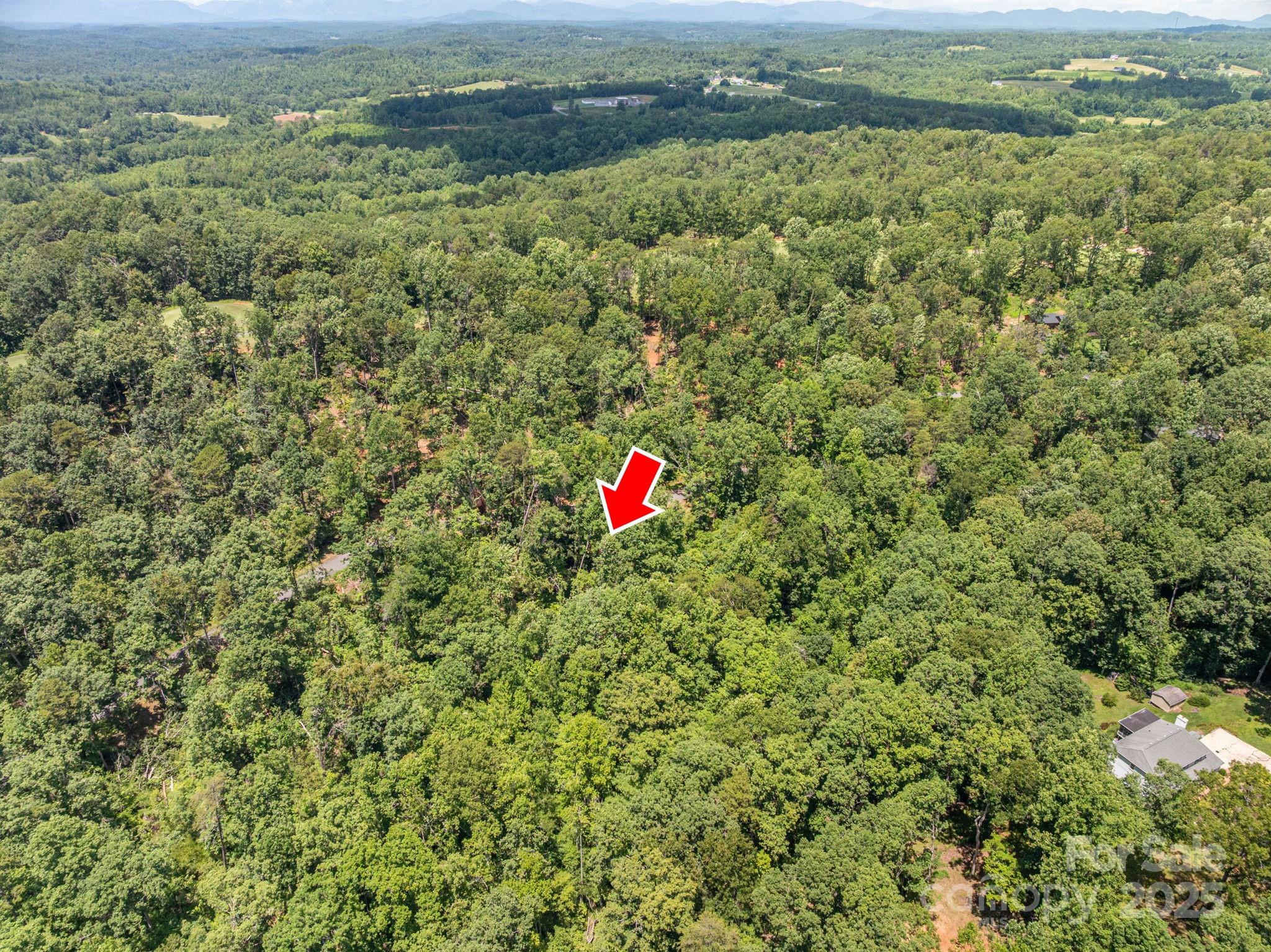 Lot 132 Plantation Drive Rutherfordton, NC 28139 - Photo 6 of 17 a view of outdoor space and mountain view
