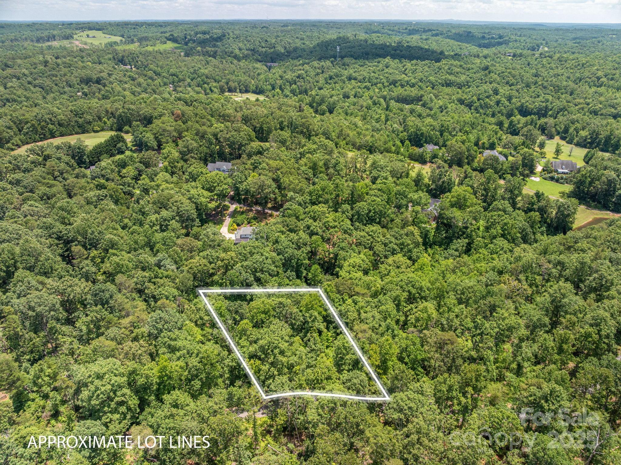 Lot 132 Plantation Drive Rutherfordton, NC 28139 - Photo 7 of 17 a view of a field