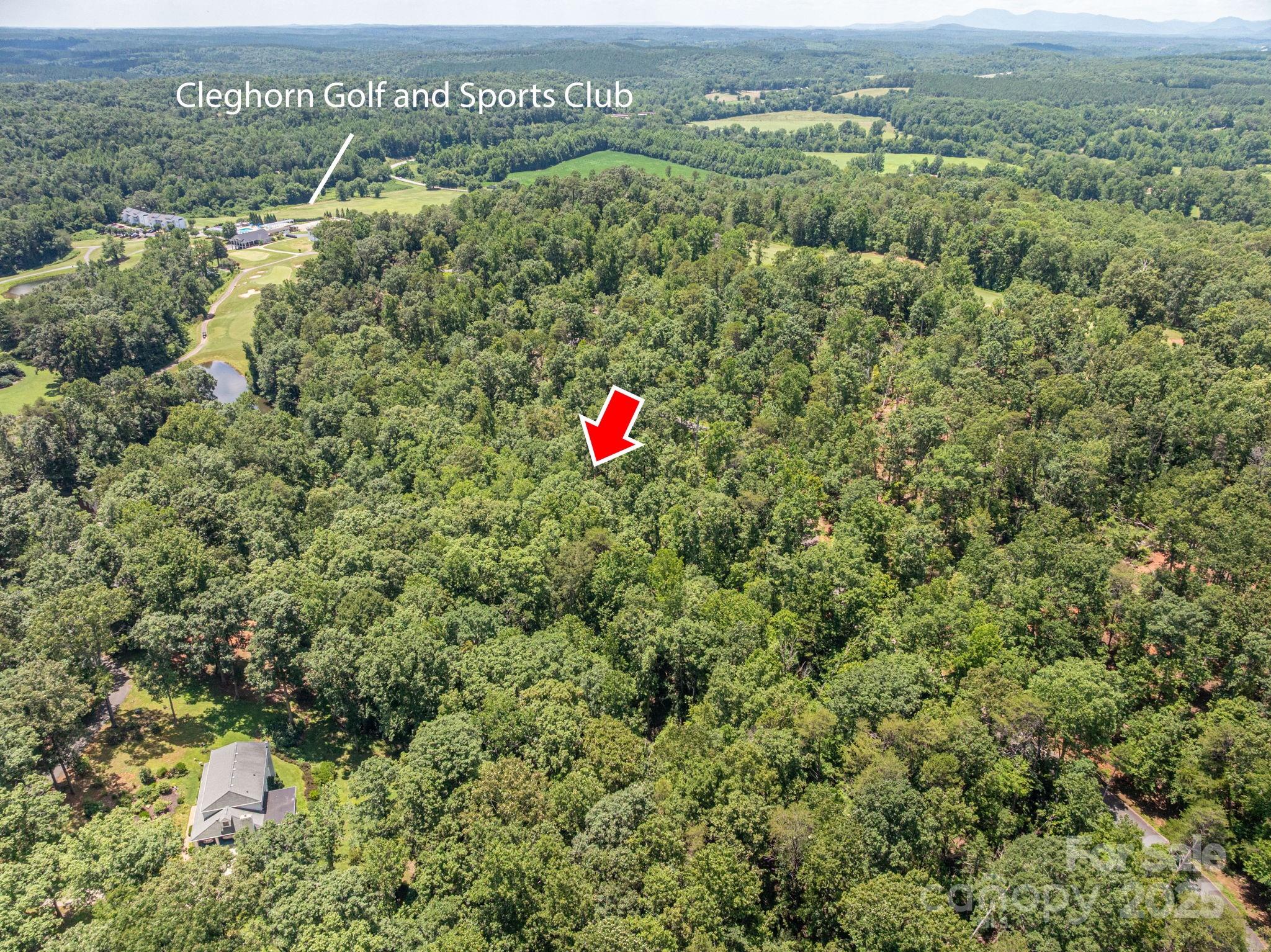 Lot 132 Plantation Drive Rutherfordton, NC 28139 - Photo 8 of 17