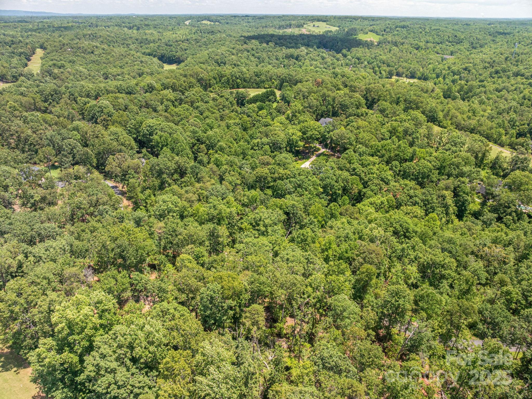 Lot 132 Plantation Drive Rutherfordton, NC 28139 - Photo 9 of 17 an aerial view of residential houses with outdoor space and trees