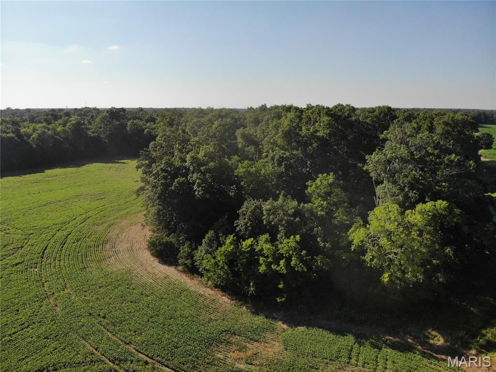 5293 Cross Salem, IL 62881 - Photo 6 of 8