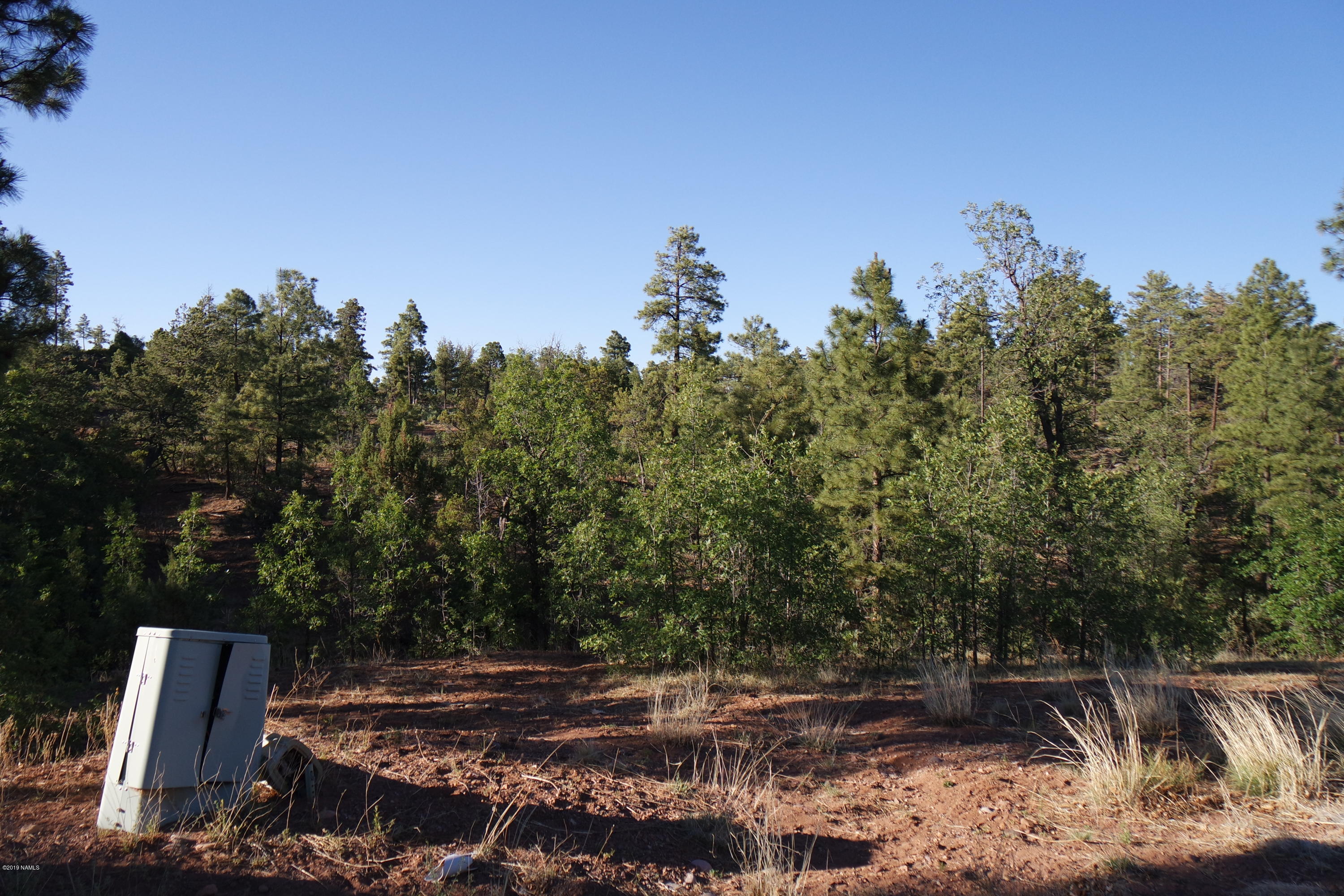 6017 Rim Road Show Low, AZ 85901 - Photo 3 of 7 Mature Trees