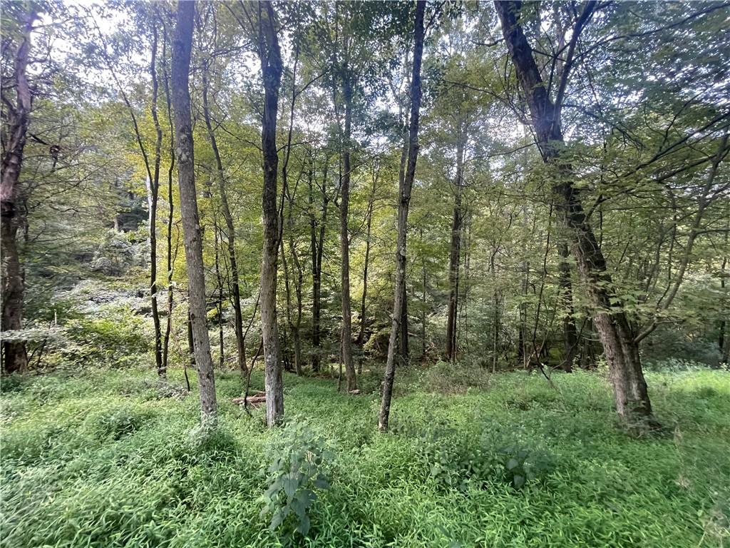 46 Simon Road Cheswick, PA 15024 - Photo 26 of 32 Gallery Image 26