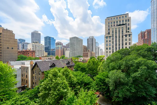$16,000,000 | 65 East Goethe Street, Unit 6NE7E, Chicago, IL 60610