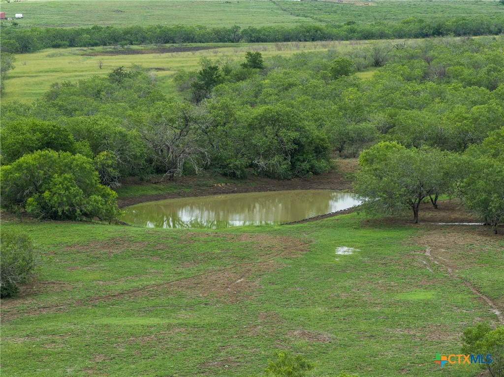 1190 Dickerson Road Lockhart, TX 78644 - Photo 24 of 40