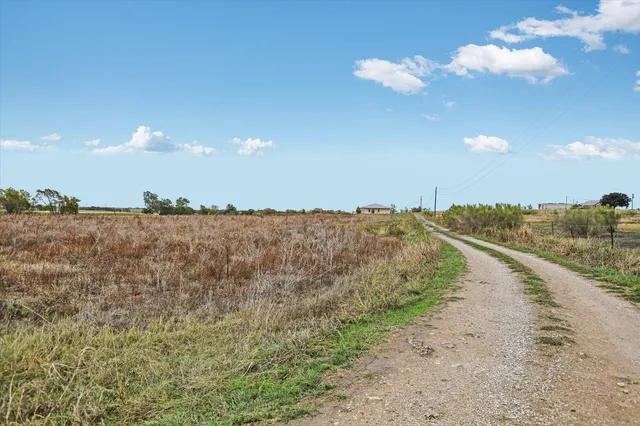 a view of a dry yard with lots of trees