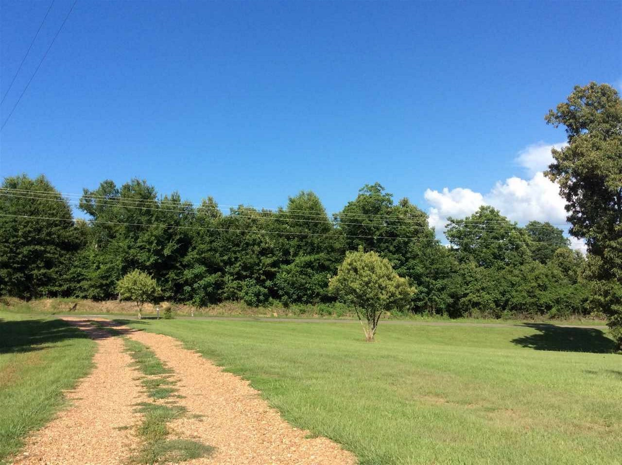 1185 Pearce Road Yazoo City, MS 39194 - Photo 8 of 48 Photo 8