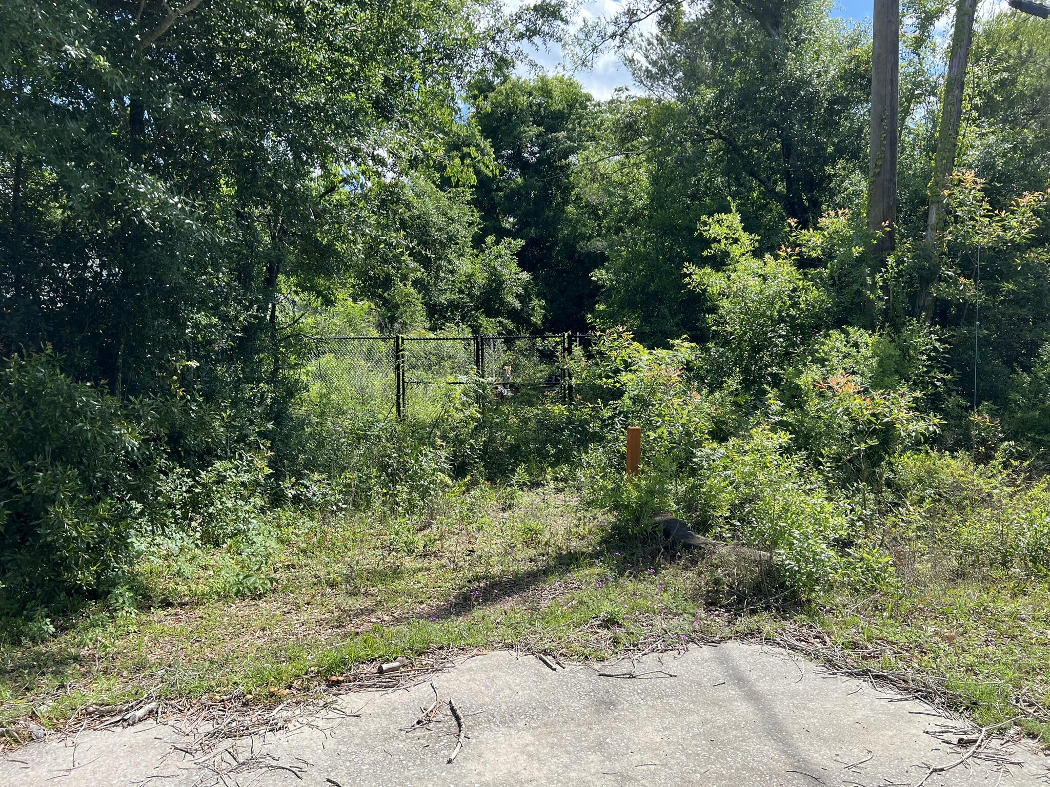 Xx Northwest Xx Nw Mooney Road Fort Walton Beach, FL 32547 - Photo 15 of 26 a plant view in yard