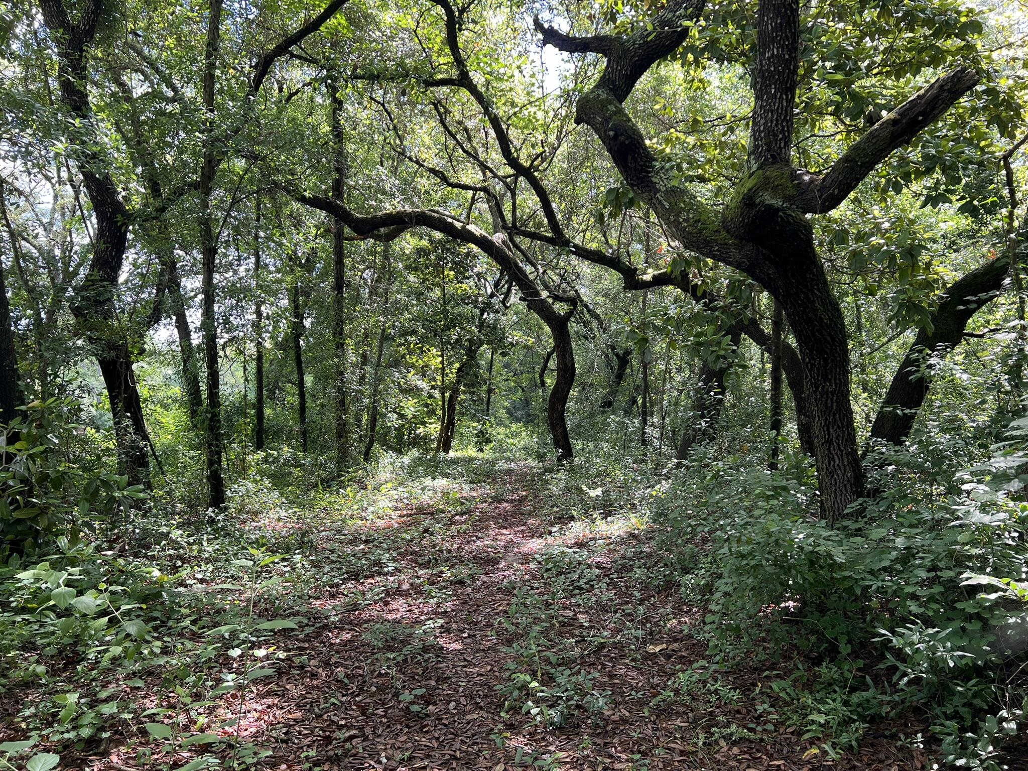 Xx Northwest Xx Nw Mooney Road Fort Walton Beach, FL 32547 - Photo 18 of 26 a big yard with lots of green space