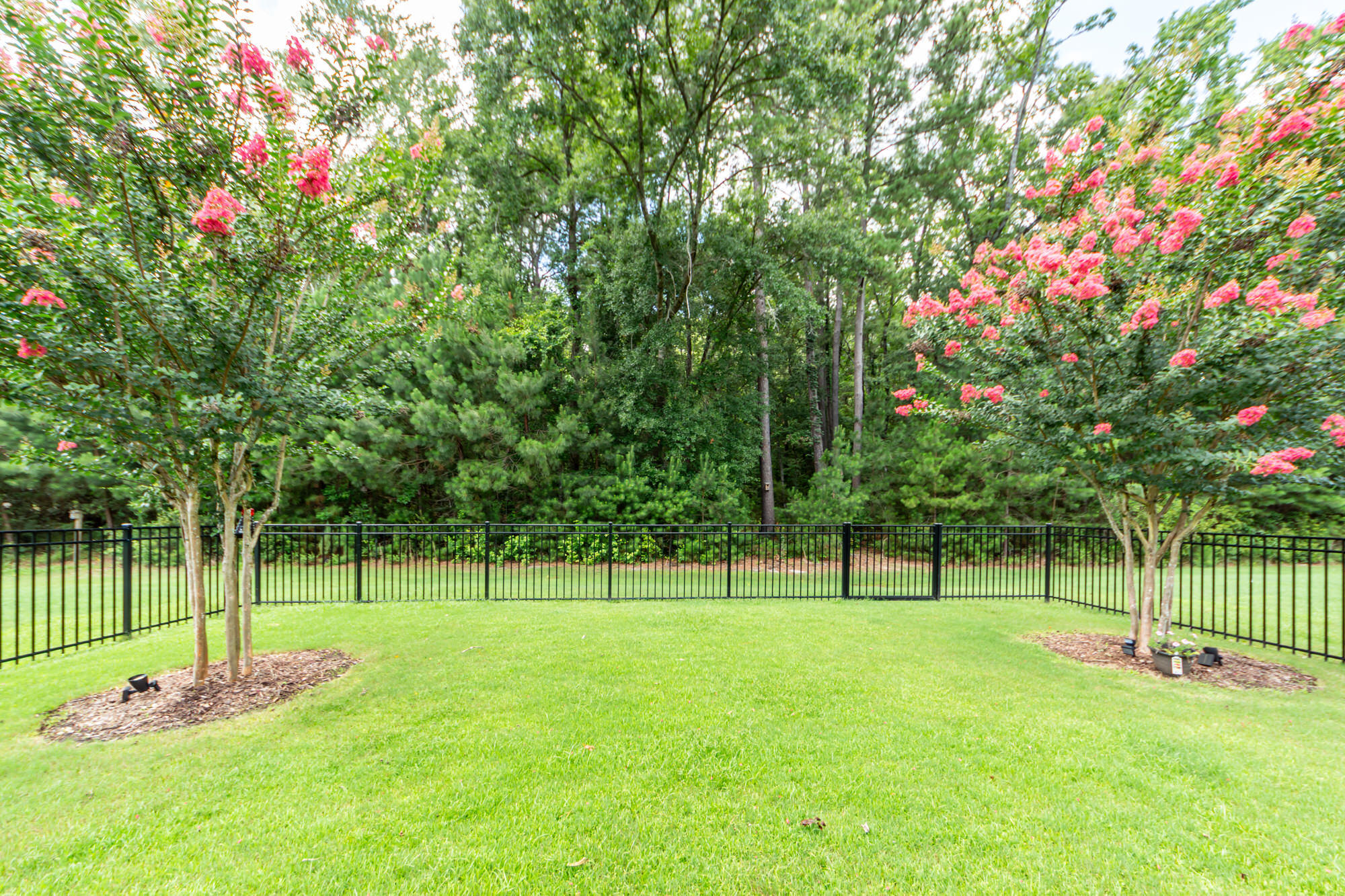 6015 Wild Azalea Road Summerville, SC 29483 - Photo 45 of 49