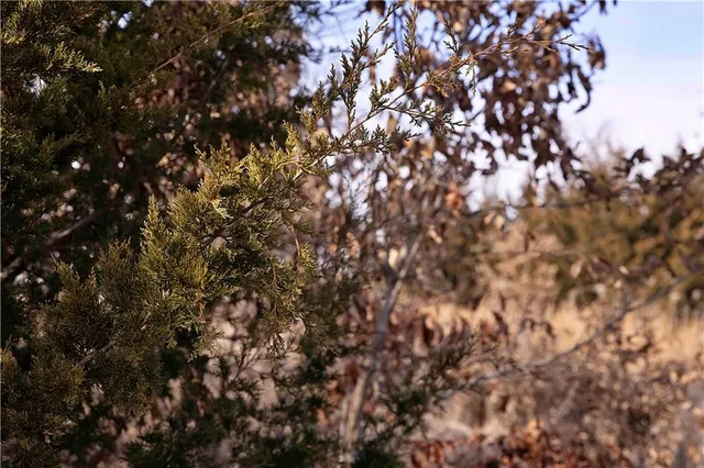 $189,000 | 330 Th Street, Bethany, MO 64424