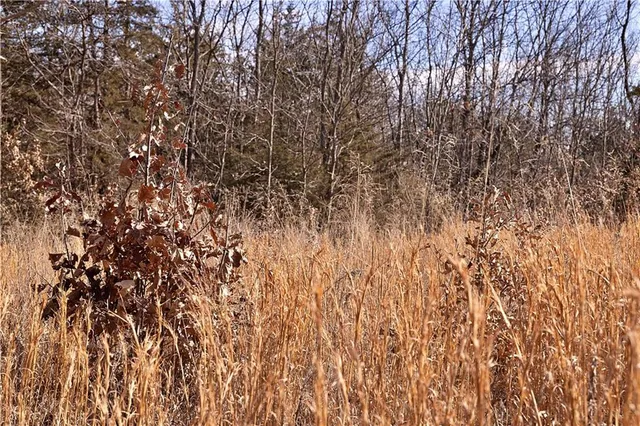 $189,000 | 330 Th Street, Bethany, MO 64424