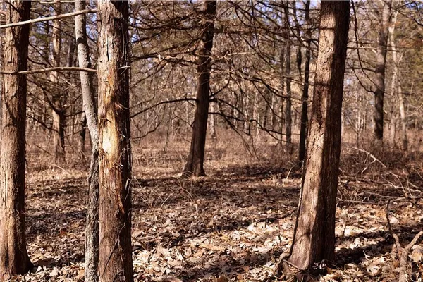 $189,000 | 330 Th Street, Bethany, MO 64424