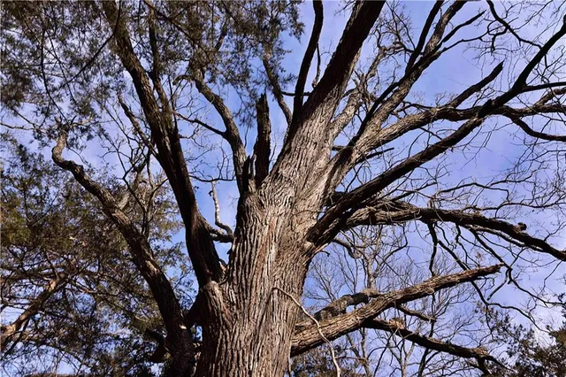 $189,000 | 330 Th Street, Bethany, MO 64424