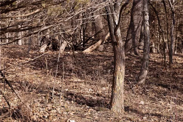 $189,000 | 330 Th Street, Bethany, MO 64424