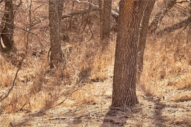 $189,000 | 330 Th Street, Bethany, MO 64424