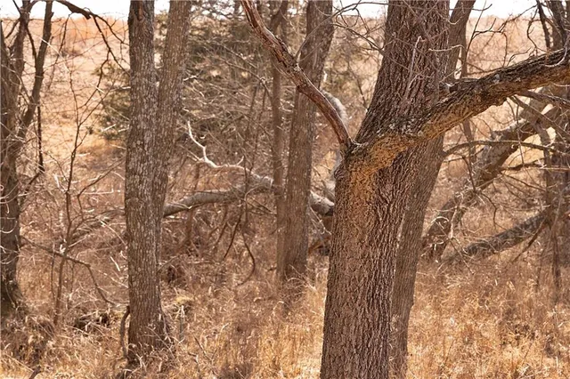 $189,000 | 330 Th Street, Bethany, MO 64424