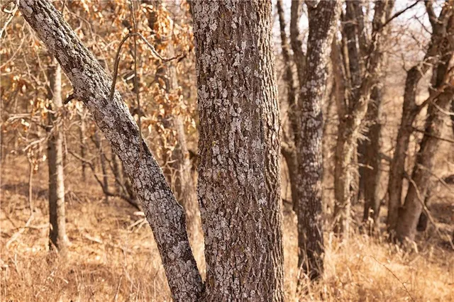 $189,000 | 330 Th Street, Bethany, MO 64424