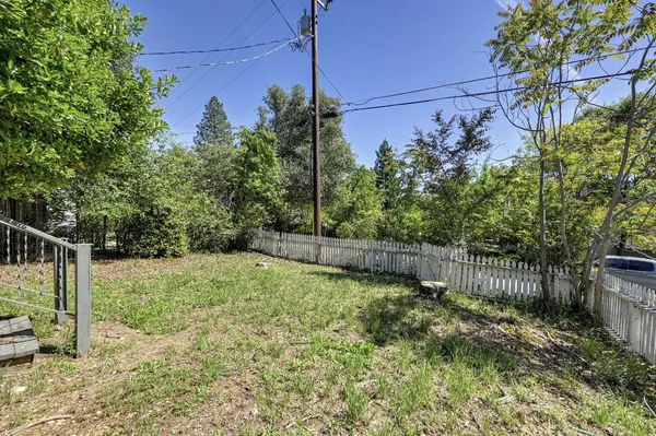 a view of a backyard with plants