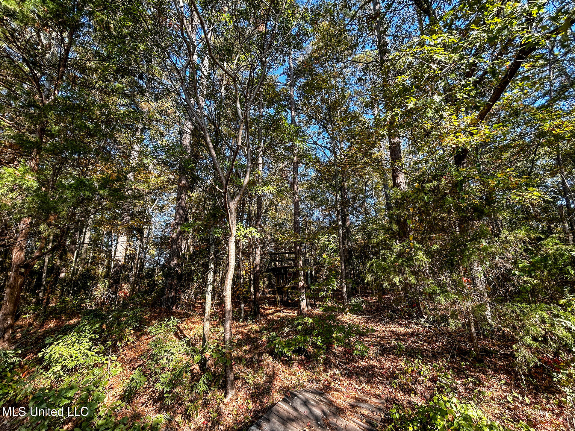 147 Summit Ridge Drive Brandon, MS 39042 - Photo 25 of 25 25