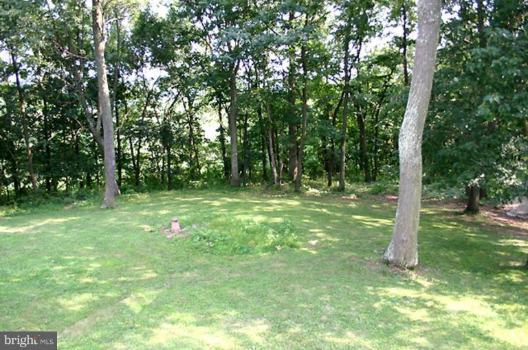 5292 St Pauls Road Manchester, MD 21102 - Photo 18 of 28 Back yard
