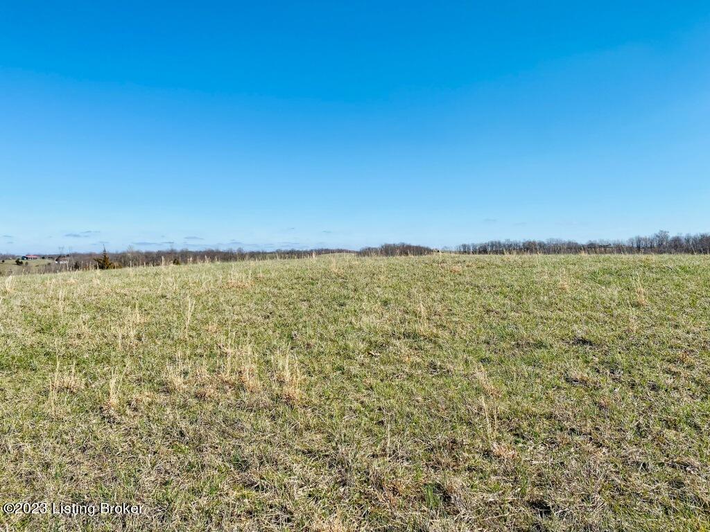 1945 Long Run Road Springfield, KY 40069 - Photo 49 of 81 IMG_2502
