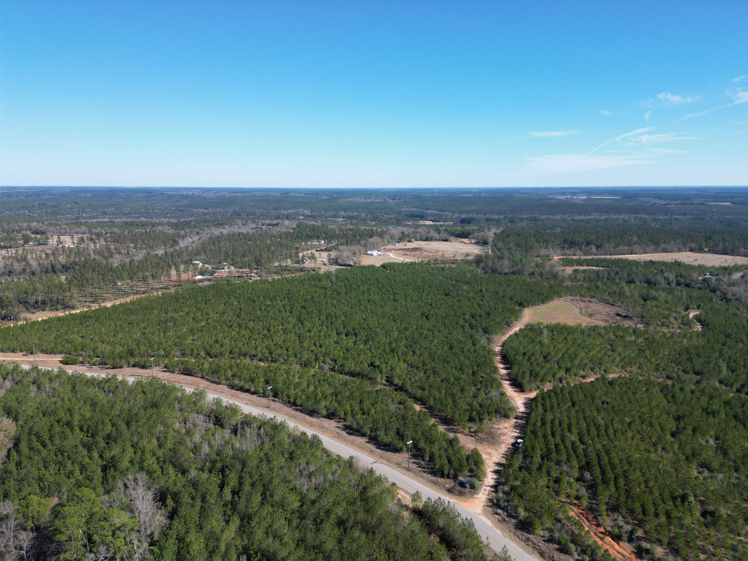 Lot 5 Robinsonville Road Atmore, AL 36502 - Photo 15 of 18