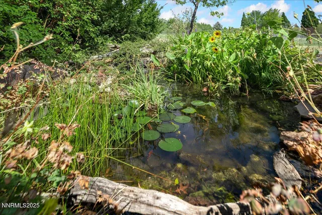 $1,100,000 | 1516 Coleman Drive, Reno, NV 89503