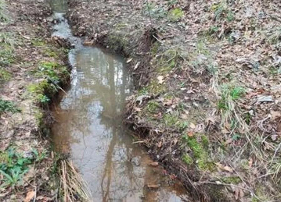 180 Ripple Creek Drive Coldspring, TX 77331 - Photo 13 of 13