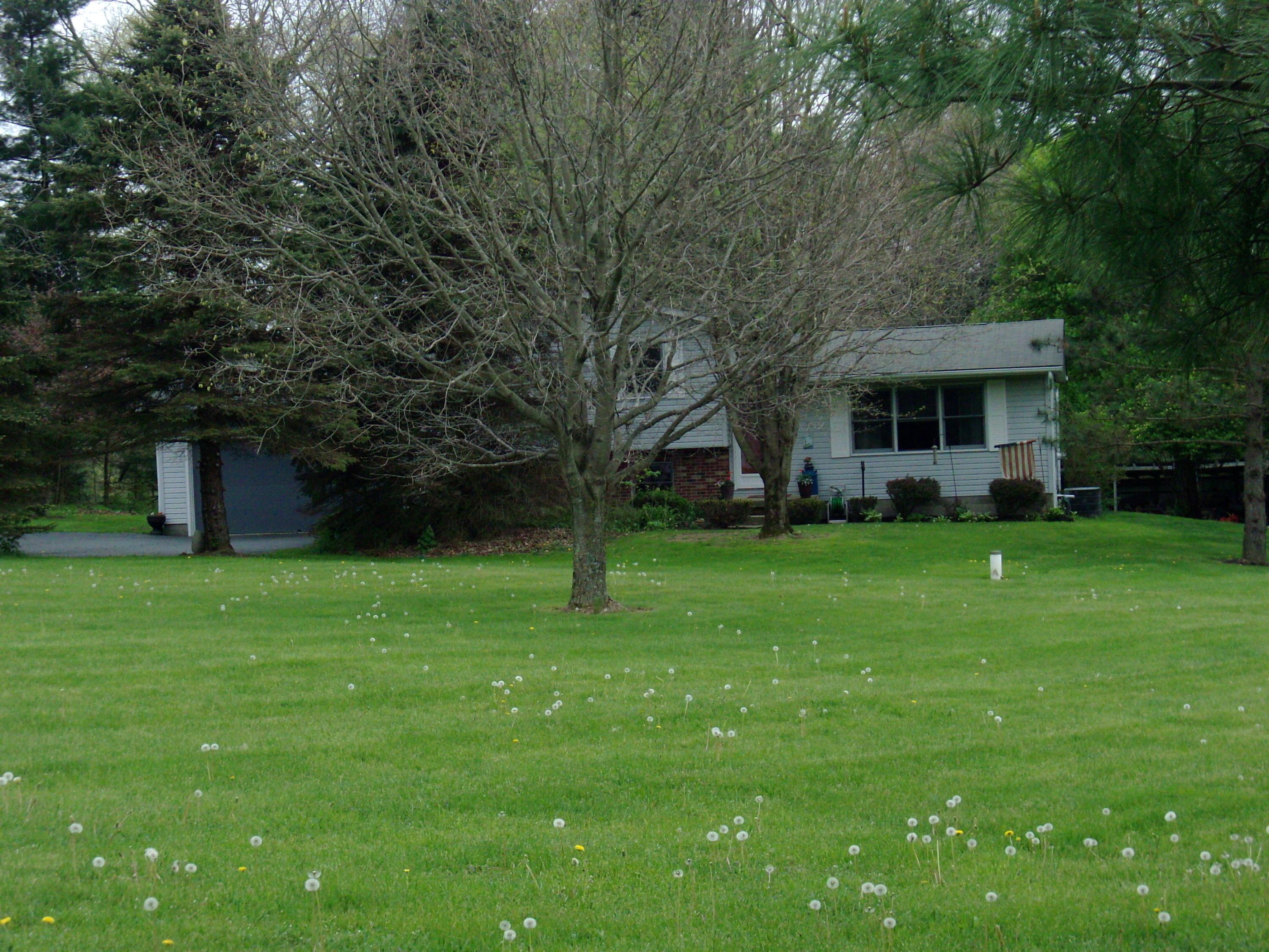 3818 Headleys Mill Road Southwest Pataskala, OH 43062 - Photo 3 of 41