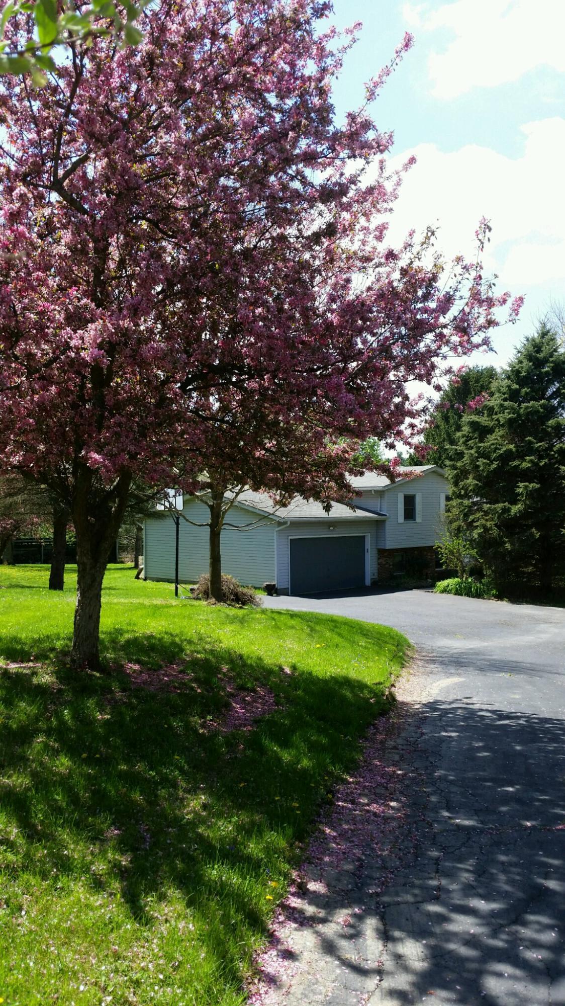 3818 Headleys Mill Road Southwest Pataskala, OH 43062 - Photo 5 of 41