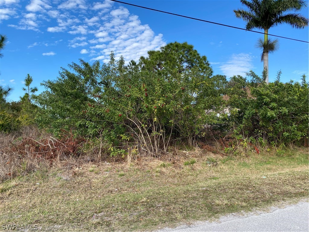 3018 36th Street Southwest Lehigh Acres, FL 33976 - Photo 2 of 2 a view of outdoor space and trees all around