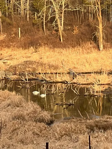 $414,900 | 40071 County Road 134, Pine River, MN 56474