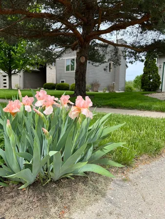 $499,900 | 434 South Burr Oak Avenue, Oregon, WI 53575